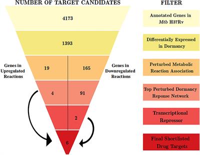 A Multi-Pronged Computational Pipeline for Prioritizing Drug Target Strategies for Latent Tuberculosis